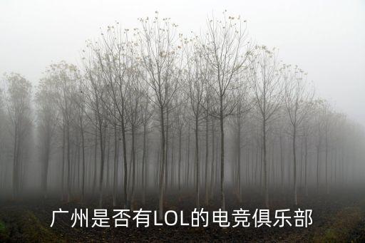 廣州的lol俱樂部，有沒有廣州的電競俱樂部 LOL的 像皇族這樣的電競隊伍