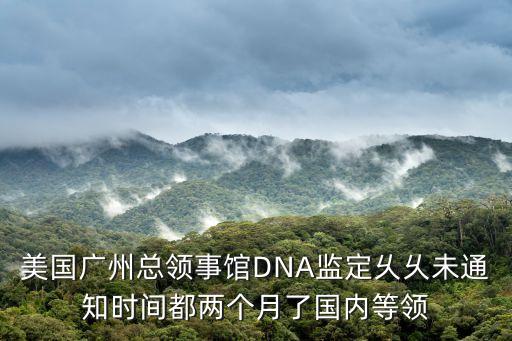 美國(guó)廣州總領(lǐng)事館DNA監(jiān)定乆乆未通知時(shí)間都兩個(gè)月了國(guó)內(nèi)等領(lǐng)