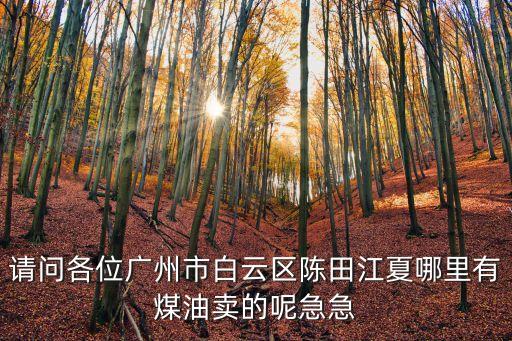 廣州哪里賣煤油，廣州那里有煤油賣