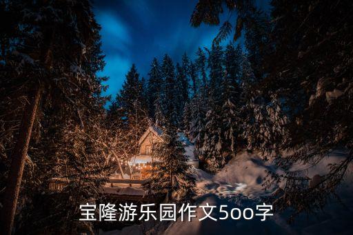 寶隆游樂園作文5oo字