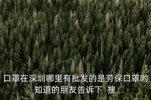 口罩在深圳哪里有批發(fā)的是勞保口罩喲知道的朋友告訴下  搜