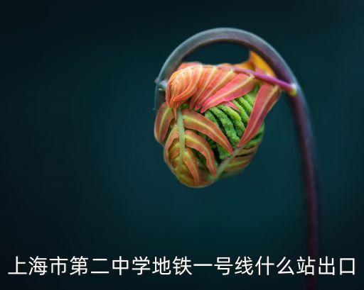 上海市第二中學地鐵一號線什么站出口