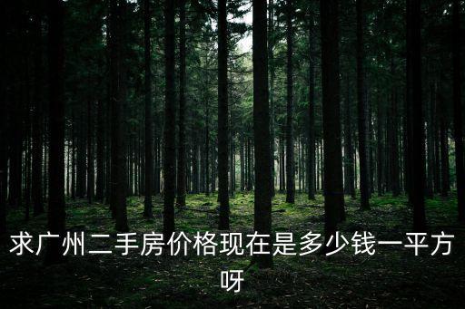 求廣州二手房價格現在是多少錢一平方呀