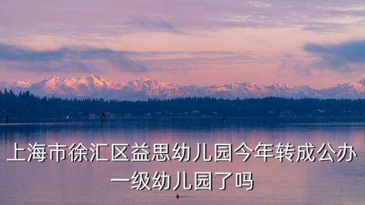 上海市徐匯區益思幼兒園今年轉成公辦一級幼兒園了嗎