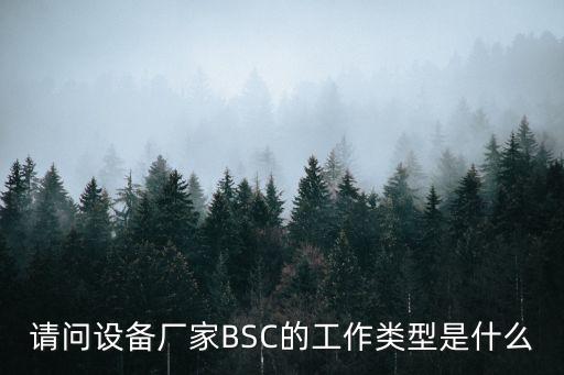 請問設備廠家BSC的工作類型是什么