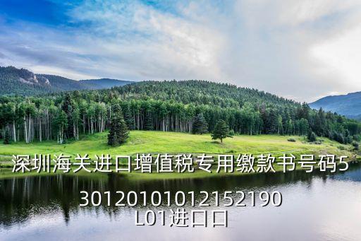 深圳海關進口增值稅專用繳款書號碼530120101012152190L01進口口
