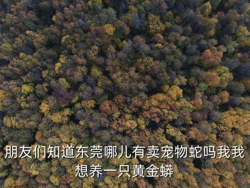 東莞市野外有什么蛇，朋友們知道東莞哪兒有賣寵物蛇嗎我我想養一只黃金蟒