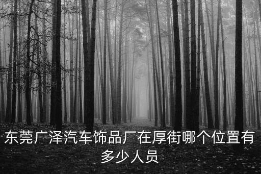 東莞廣協電子公司，廣東省東莞市石龍鎮三協電子廠怎么樣