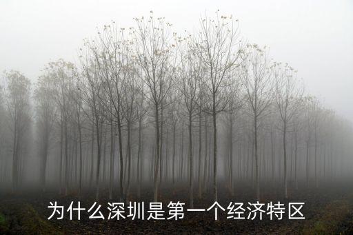 為什么深圳是第一個經(jīng)濟特區(qū)
