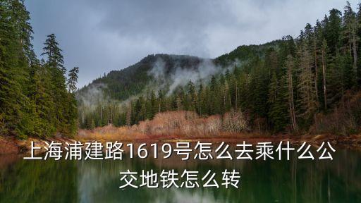 上海市浦建路1619號附近地鐵站，上海浦建路1619號怎么去乘什么公交地鐵怎么轉