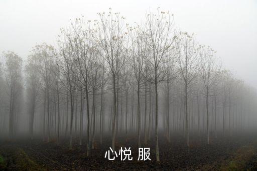cf心悅深圳，心悅 服