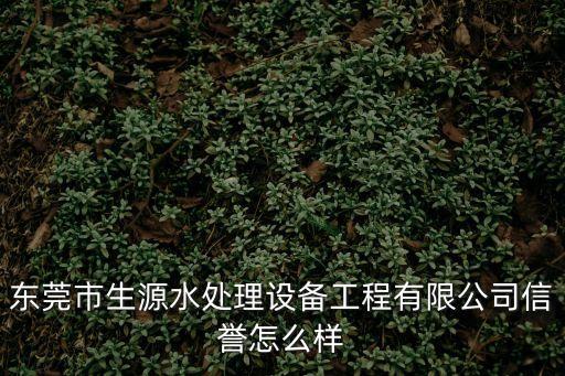 東莞森浩，東莞市生源水處理設(shè)備工程有限公司信譽(yù)怎么樣