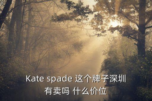 Kate spade 這個牌子深圳有賣嗎 什么價位