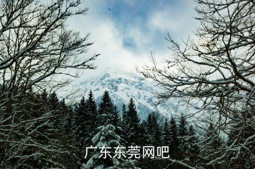 東莞市樂景網吧，東莞市橫瀝神山附近有什么網吧