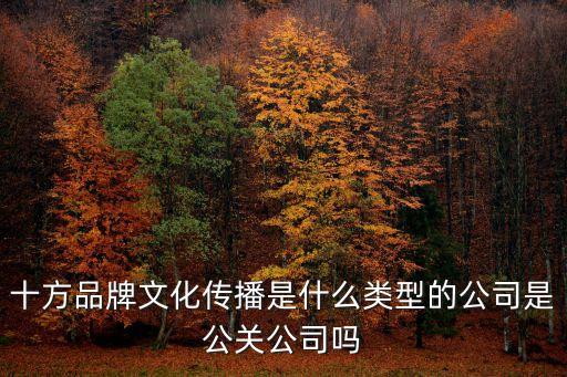 深圳十方傳媒有限公司，文化傳播有限公司 準確的說屬于什么行業