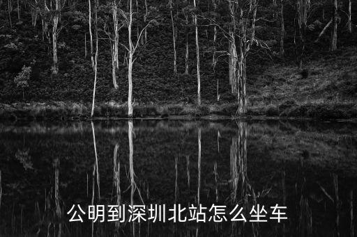 公明到深圳北站怎么坐車