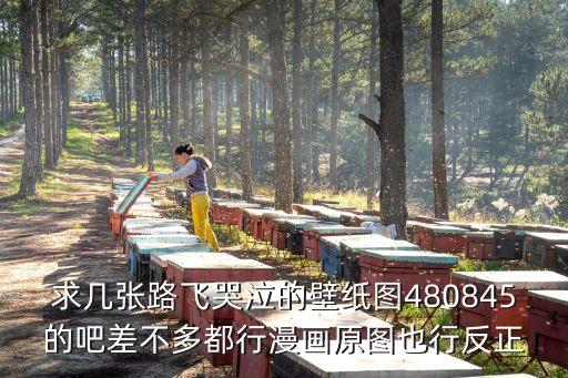 穿深圳校服的路飛壁紙，求這張路飛船長背影的高清圖順帶問下高清的OP壁紙都哪找的