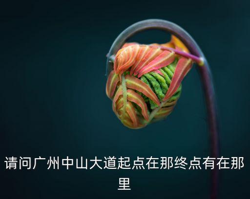 請問廣州中山大道起點在那終點有在那里