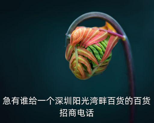 急有誰給一個深圳陽光灣畔百貨的百貨招商電話
