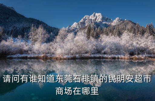 東莞石排鎮市場在哪，在線求助那位朋友知道東莞石排的二手電器市場在那里具體位置