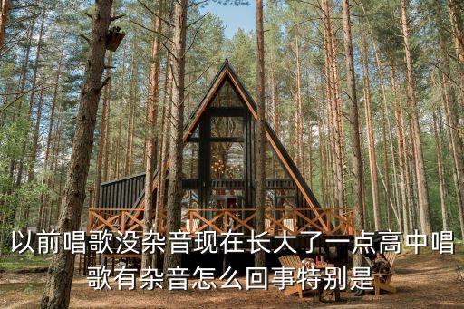 以前唱歌沒雜音現(xiàn)在長大了一點(diǎn)高中唱歌有雜音怎么回事特別是