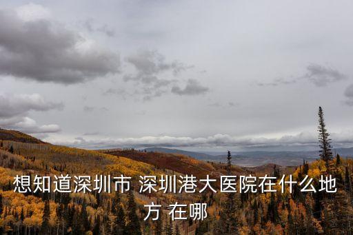 港大深圳地址，深圳港大醫(yī)院在哪里我從寶安坐地鐵能到嗎