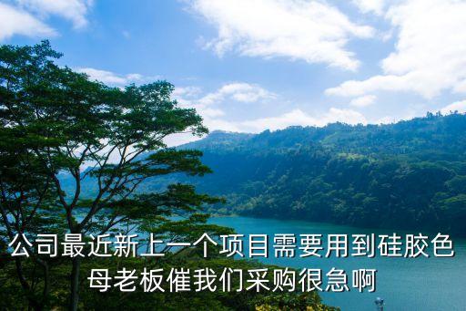 公司最近新上一個項目需要用到硅膠色母老板催我們采購很急啊