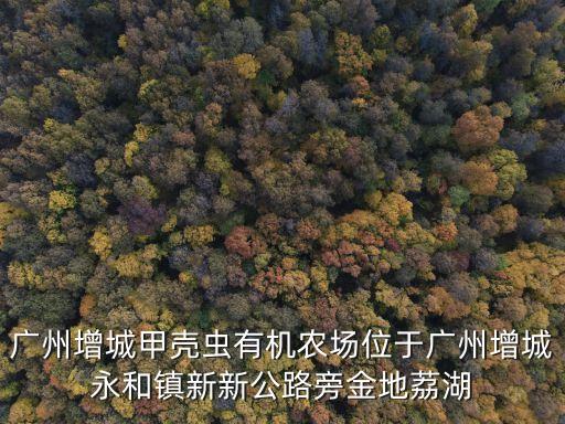廣州增城甲殼蟲有機(jī)農(nóng)場(chǎng)位于廣州增城永和鎮(zhèn)新新公路旁金地荔湖