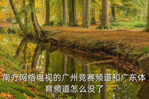 南方網絡電視的廣州競賽頻道和廣東體育頻道怎么沒了