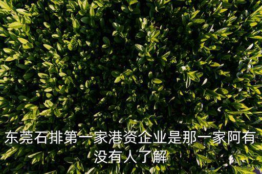 東莞港資包裝廠，東莞石排第一家港資企業是那一家阿有沒有人了解