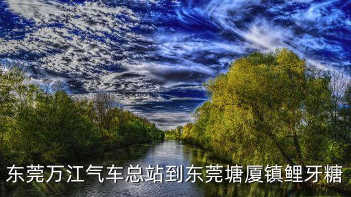 東莞萬江氣車總站到東莞塘廈鎮鯉牙糖