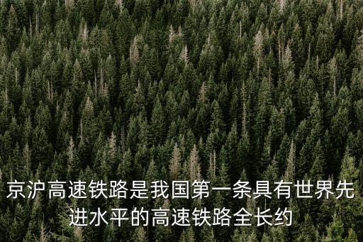 上海市鐵路客運億人次，2008年中國客運總量公路及鐵路客運總量