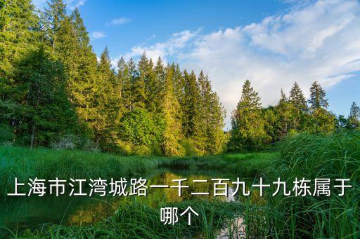 上海市江灣城路1299弄屬于哪個(gè)區(qū)，上海江灣屬于哪個(gè)區(qū)