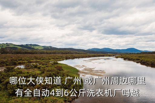 廣州洗衣機廠商，哪位大俠知道 廣州 或廣州周邊哪里有全自動4到6公斤洗衣機廠嗎越