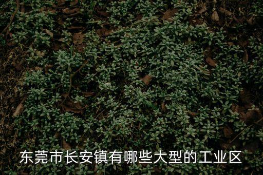 東莞市長安鎮(zhèn)有哪些大型的工業(yè)區(qū)