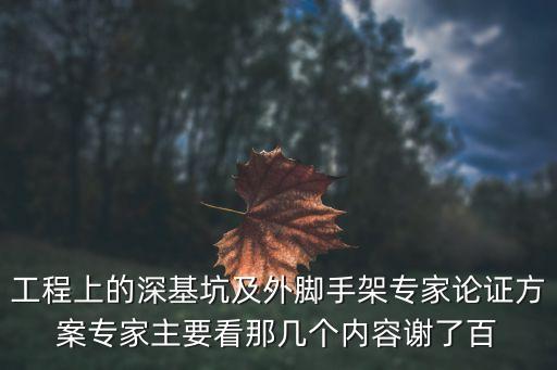 工程上的深基坑及外腳手架專家論證方案專家主要看那幾個(gè)內(nèi)容謝了百