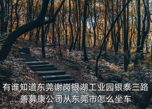 有誰(shuí)知道東莞謝崗銀湖工業(yè)園銀泰三路善募康公司從東莞市怎么坐車