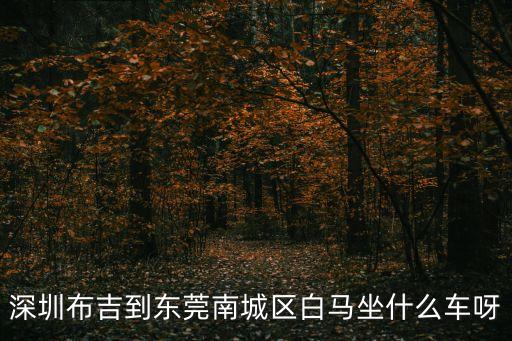 深圳布吉到東莞南城區(qū)白馬坐什么車呀