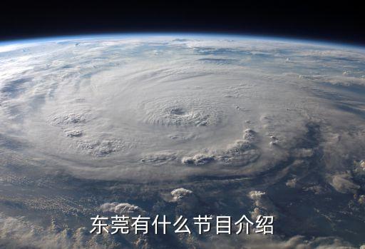 東莞有什么節目介紹