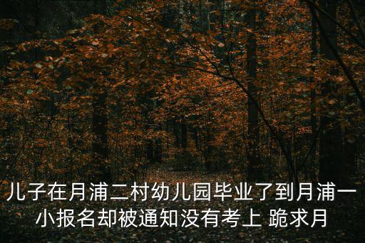 上海市月浦二村幼兒園怎么樣，我是外地人小孩在月浦二村幼兒園畢業了要上小學了可是去月