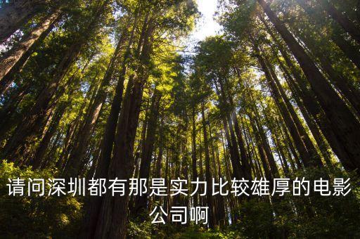 深圳網絡電影公司，請問深圳都有那是實力比較雄厚的電影公司啊