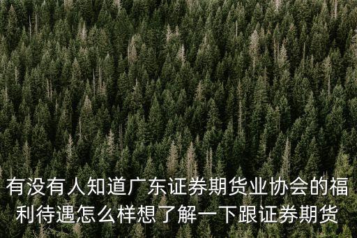 有沒有人知道廣東證券期貨業協會的福利待遇怎么樣想了解一下跟證券期貨