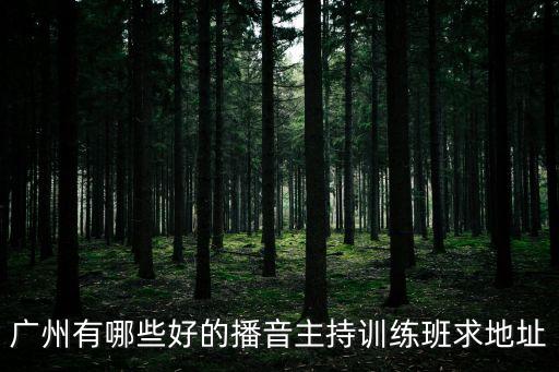 廣州哪里有小主持人班，大朗小主持人培訓班在哪里