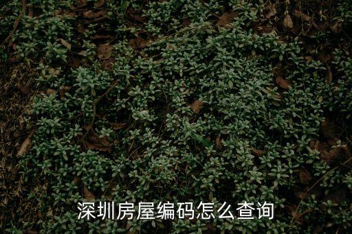 深圳房屋編碼怎么查詢