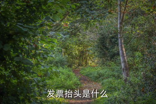 上海市第一人民醫(yī)院發(fā)票抬頭，發(fā)票抬頭是什么