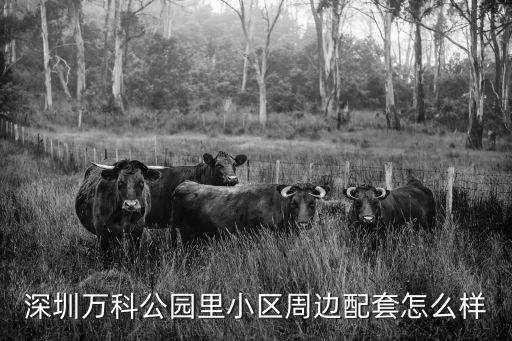 深圳樟樹布萬科公園架子姐，深圳萬科公園里小區(qū)周邊配套怎么樣