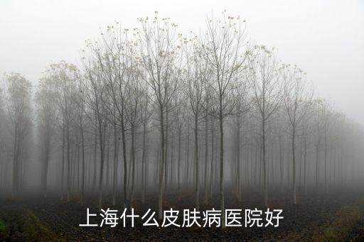 上海什么皮膚病醫院好