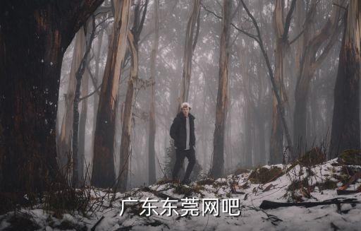 東莞細(xì)村市場附近的網(wǎng)吧，東莞莞城有哪新開的網(wǎng)吧啊
