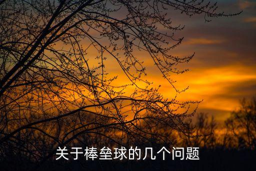 關于棒壘球的幾個問題