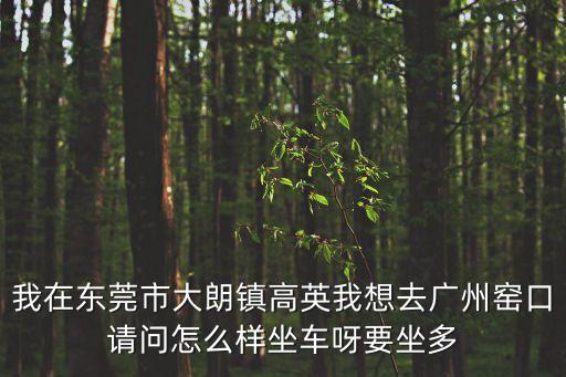 東莞大朗鎮(zhèn)高英村多少公里，東莞大朗鎮(zhèn)大潤(rùn)發(fā)到高英村坐幾路車
